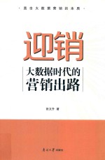 迎销 大数据时代的营销出路
