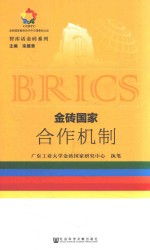 智库话金砖系列 金砖国家合作机制