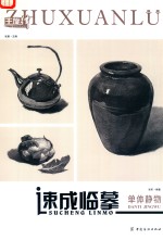 速成临摹 单体静物