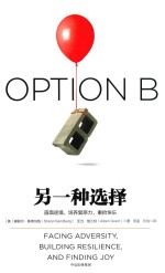 OPTIONB 另一种选择