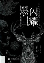 黑白闪耀 黑白创意装饰图案绘制宝典