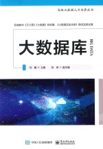 大数据库