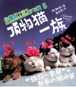 你猫叔了没? 5 顶物猫一族