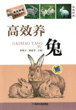高效养兔 双色印刷