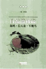 海鸥信天翁军舰鸟