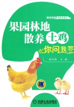 果园林地散养土鸡你问我答 高效养殖致富直通车