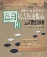 围棋棋力快速提高 从入门到业余初段
