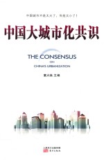 中国大城市化共识