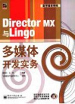 Director MX与Lingo多媒体开发实务