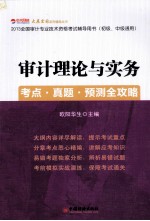 2013全国审计专业技术资格考试辅导用书 初级、中级通用 -审计理论与实务考点·真题·预测全攻略