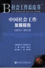 中国社会工作发展报告 2013版