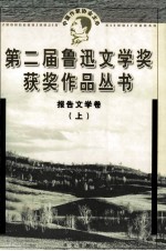 第二届鲁迅文学奖获奖作品丛书 报告文学卷 上