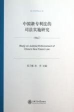 中国新专利法的司法实施研究