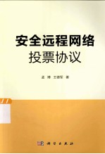 安全远程网络投票协议