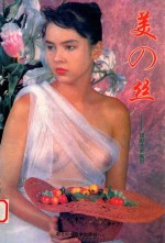 美の丝 摄影艺术画册 摄影集