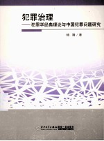 犯罪治理 犯罪学经典理论与中国犯罪问题研究