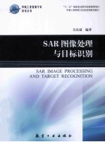 SAR图像处理与目标识别