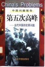 第五次高峰 当代中国的犯罪问题
