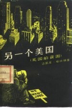另一个美国 美国的贫困