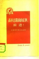 高举总路线的红旗，前进! 中国青年报社论选辑 第3集