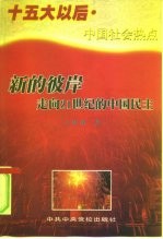 新的彼岸 走向21世纪的中国民主