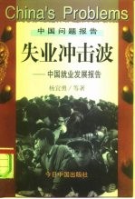 失业冲击波 中国就业发展报告
