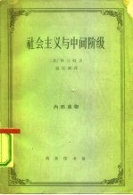 社会主义与中间阶级