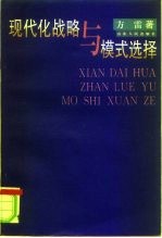 现代化战略与模式选择