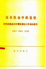改革阵痛中的觉悟 时代的挑战与中青年理论工作者的思考