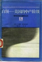 白领 美国的中产阶级