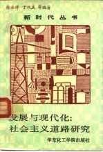 发展与现代化:社会主义道路研究