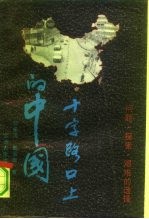 十字路口上的中国 问题、探索、艰难的选择