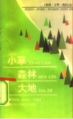 小草 森林 大地