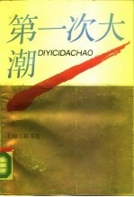 第一次大潮