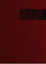 湖湘文化大辞典 下