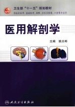 医用解剖学