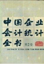 中国企业会计统计全书 第2卷