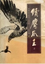 续鹰爪王 上