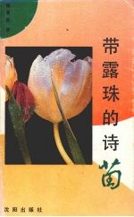 带露珠的诗苗
