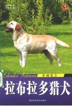 拉布拉多猎犬乡间名士