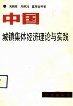 中国城镇集体经济理论与实践
