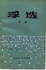 浮选 纪念A.M.高登文集 下
