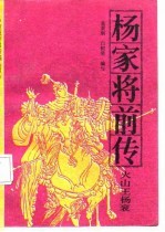 杨家将前传 火山王杨衮