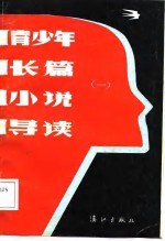 青少年长篇小说导读 1