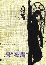 代号“夜鹰”