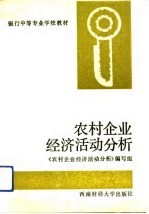 农村企业经济活动分析