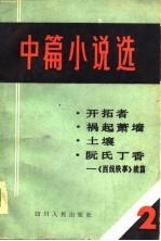 中篇小说选 2