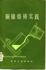 铜镍熔铸实践