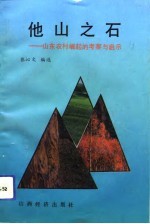 他山之石 山东农村崛起的考察与启示