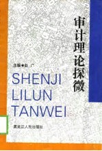 审计理论探微